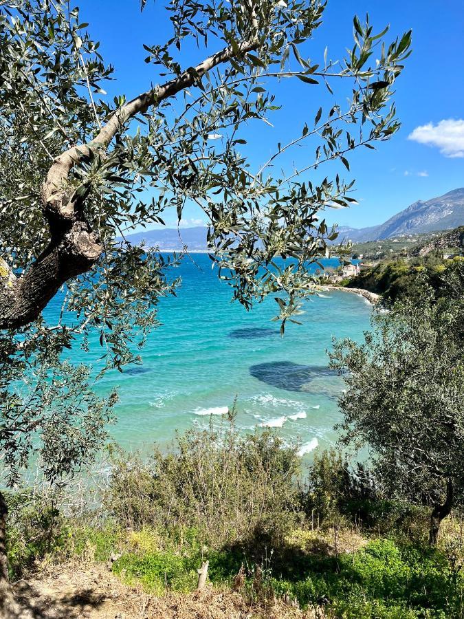 Panagea Holiday Apartments Κιτριές Εξωτερικό φωτογραφία