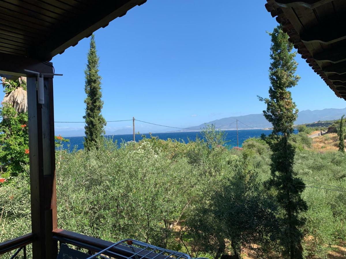 Panagea Holiday Apartments Κιτριές Εξωτερικό φωτογραφία